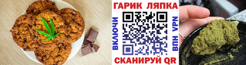 Купить закладки  Ленинск-Кузнецкий  Cannafood конопля 