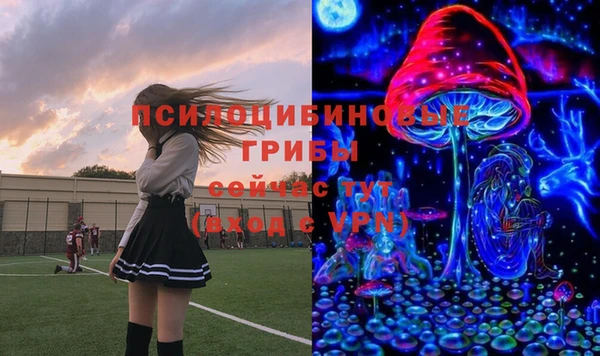стаф Пестово