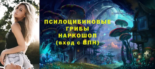 mdpv Переславль-Залесский