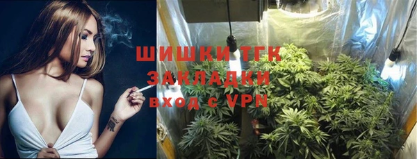 стаф Пестово
