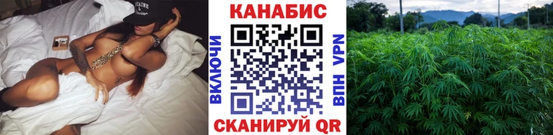 Купить закладки  Ленинск-Кузнецкий  Бошки Шишки индика 